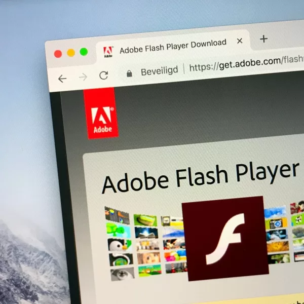 De flash plugin stopt ermee. afbeelding 0